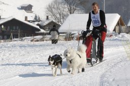 Lenk 2012 SM